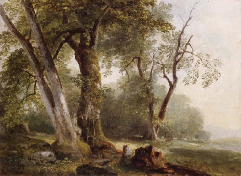 Asher Brown Durand Landscape with Beech Tree Norge oil painting art